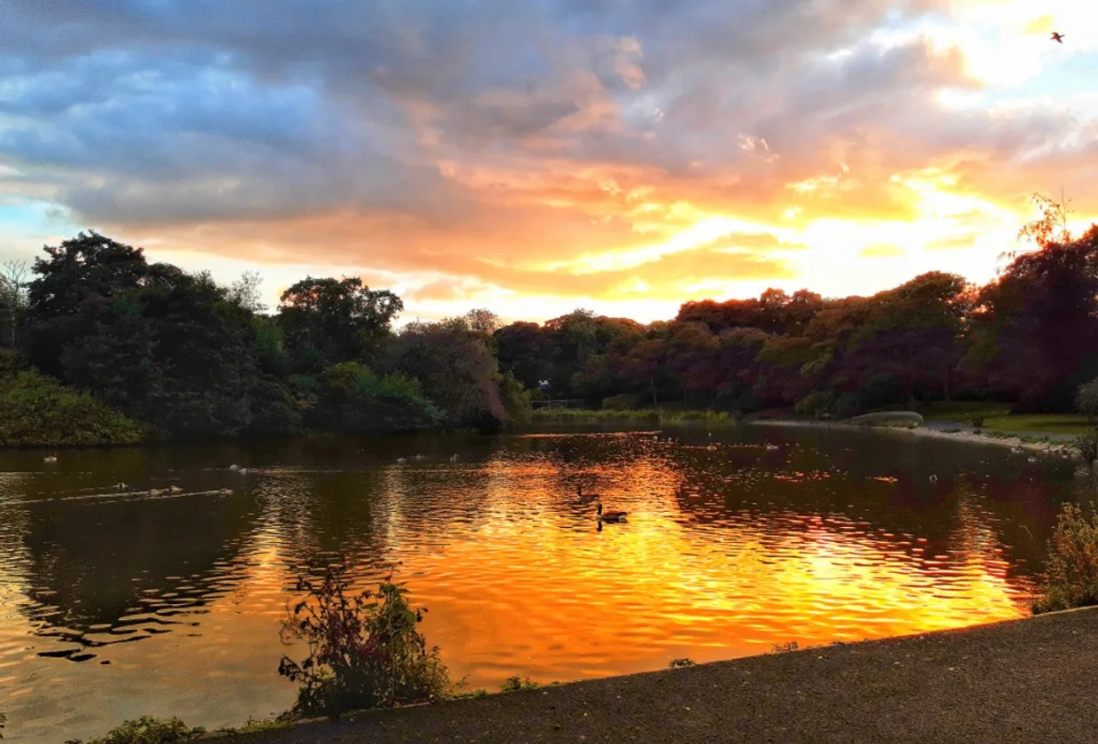 Leazes Park — concerts and tickets in Newcastle upon Tyne